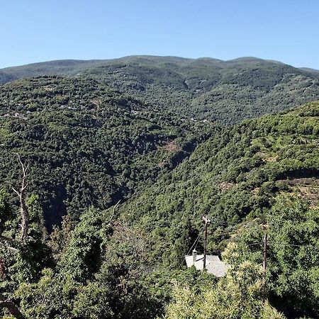 Theta Hotel Pelion Áyios Dhimítrios 外观 照片