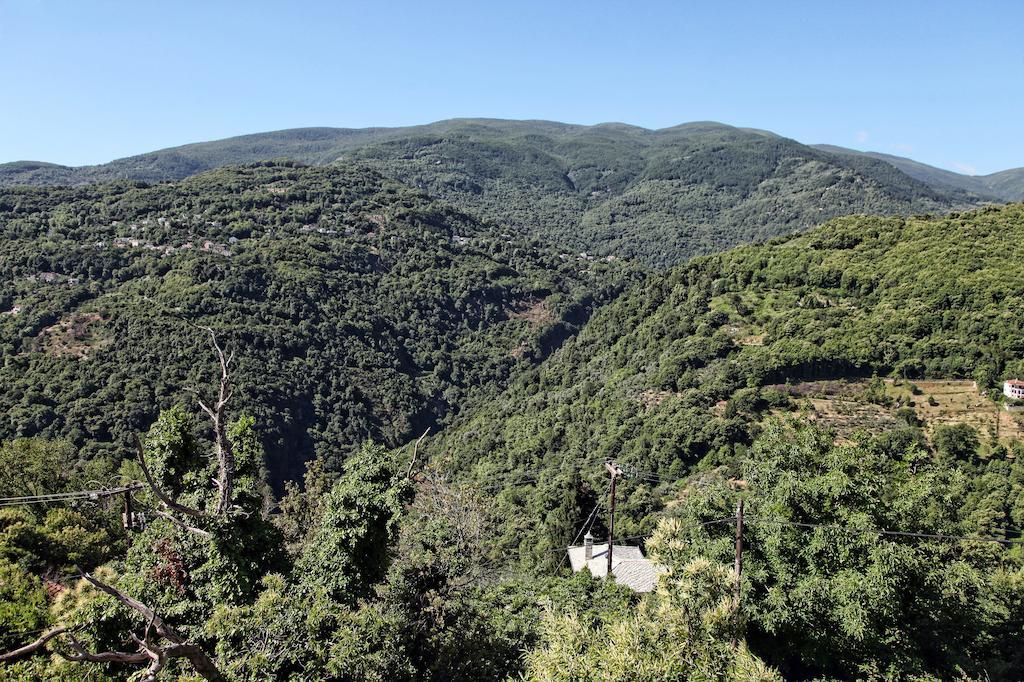 Theta Hotel Pelion Áyios Dhimítrios 外观 照片